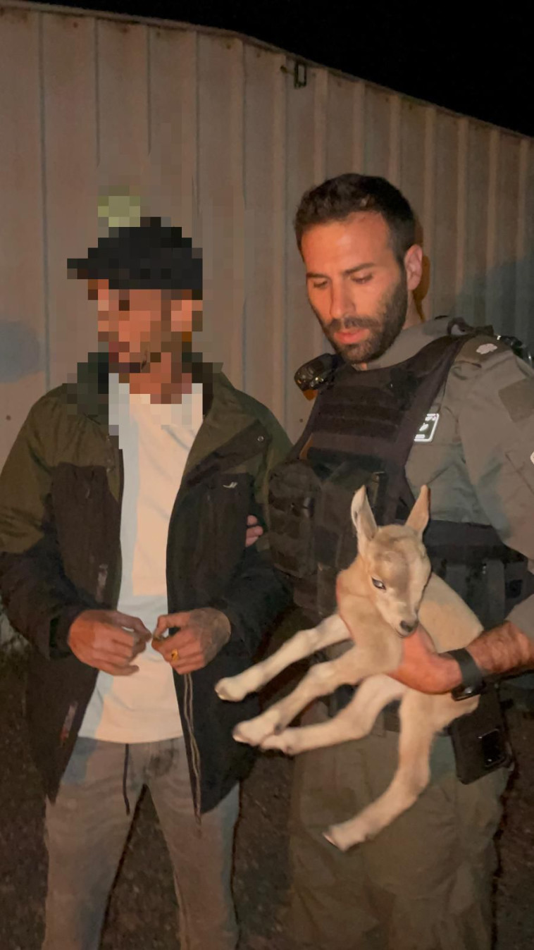 עופר שהוחזק באופן לא חוקי בנגב