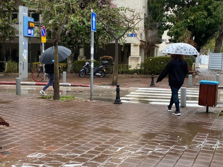 חורף, גשם, מטריות