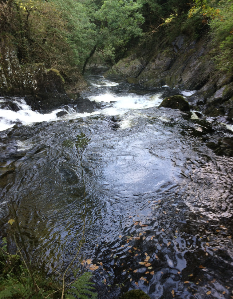 מפלי סוואלו