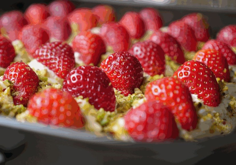 פסטיבל האוכל הכפרי באזור מטה יהודה