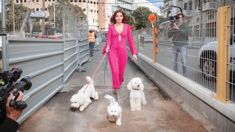 דנה אינטרנשיונל