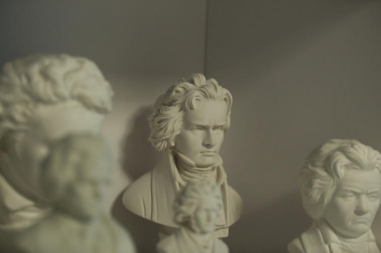 לפי בדיקת DNA התברר כי בטהובן סבל ממחלת כבד (צילום: רויטרס)