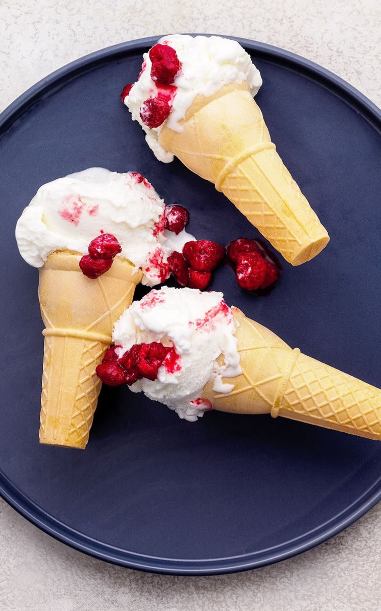 דבש פרוזן יוגורט