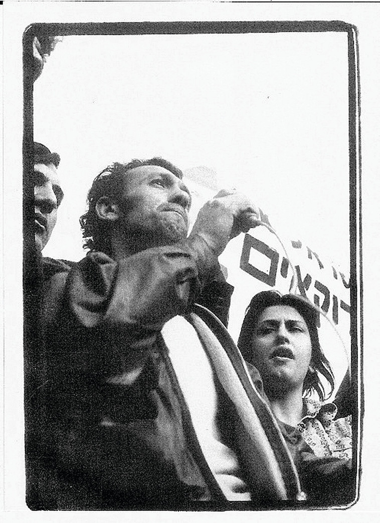 הפנתרים השחורים 