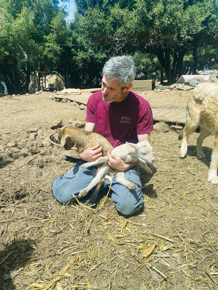 חוות אודם (צילום: מיטל שרעבי)