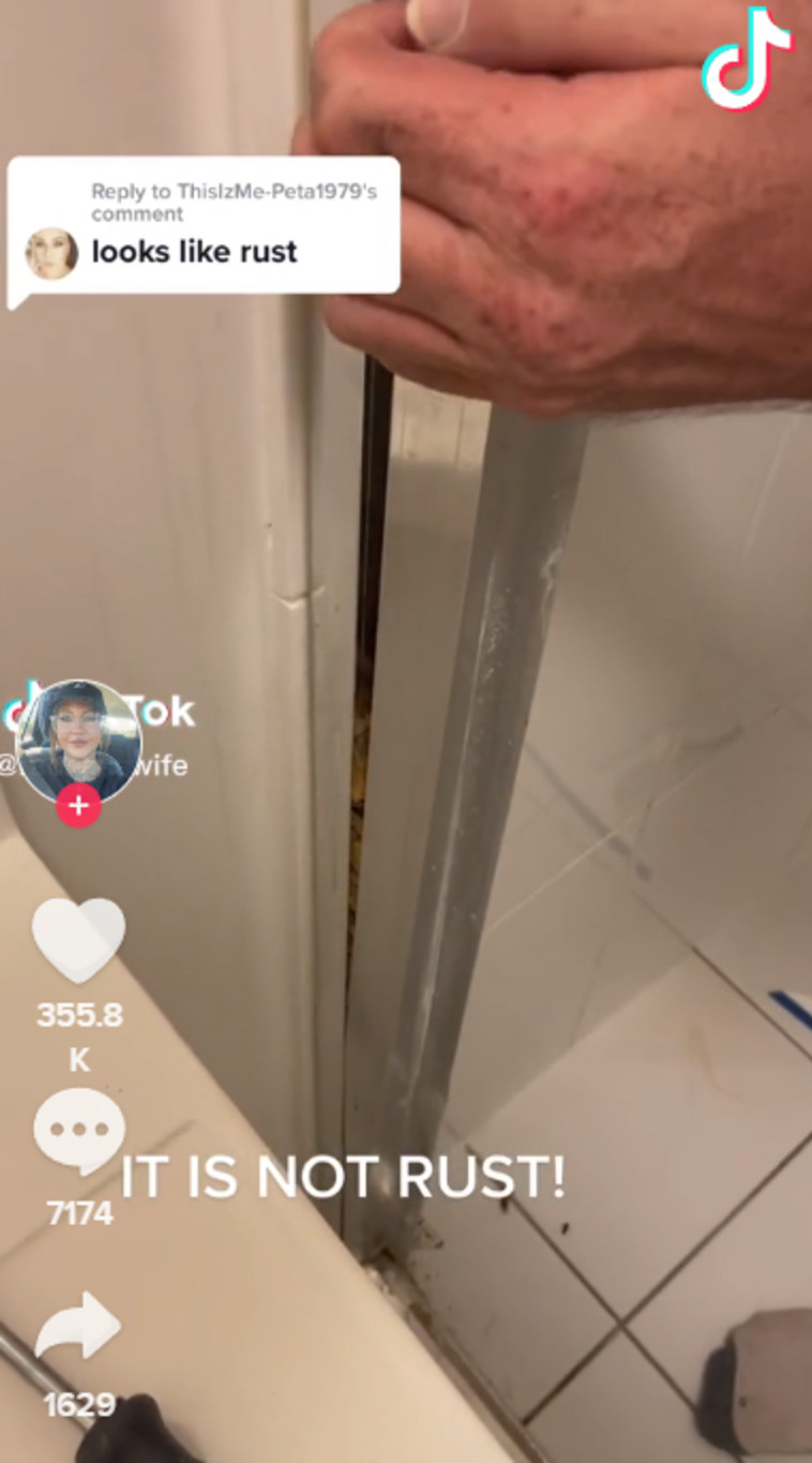 בדלי סיגריות במסגרת המקלחון