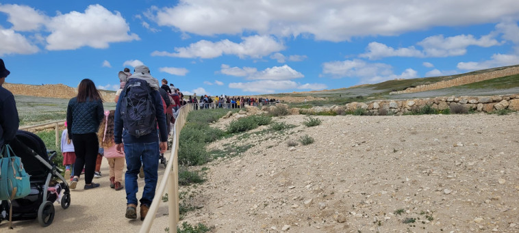 מטיילים בגן הלאומי תל ערד 