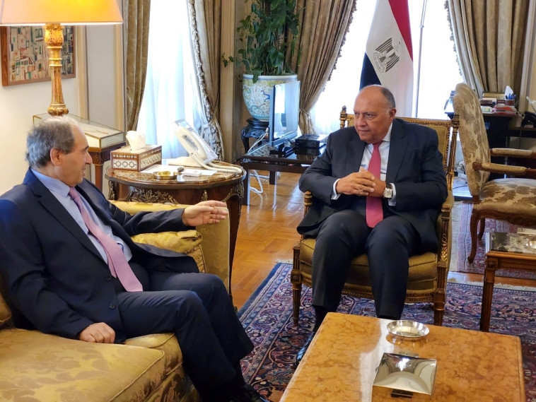 שר החוץ המצרי סאמח שוכרי ושר החוץ הסורי פייסל אל-מקדאד (צילום: REUTERS)