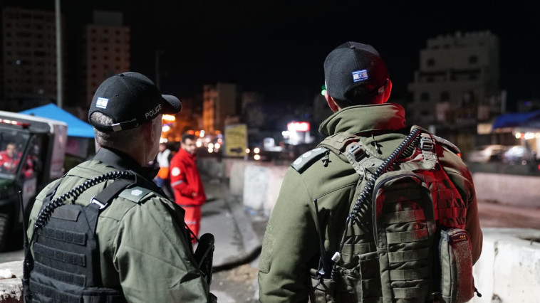 פעילות הכוחות