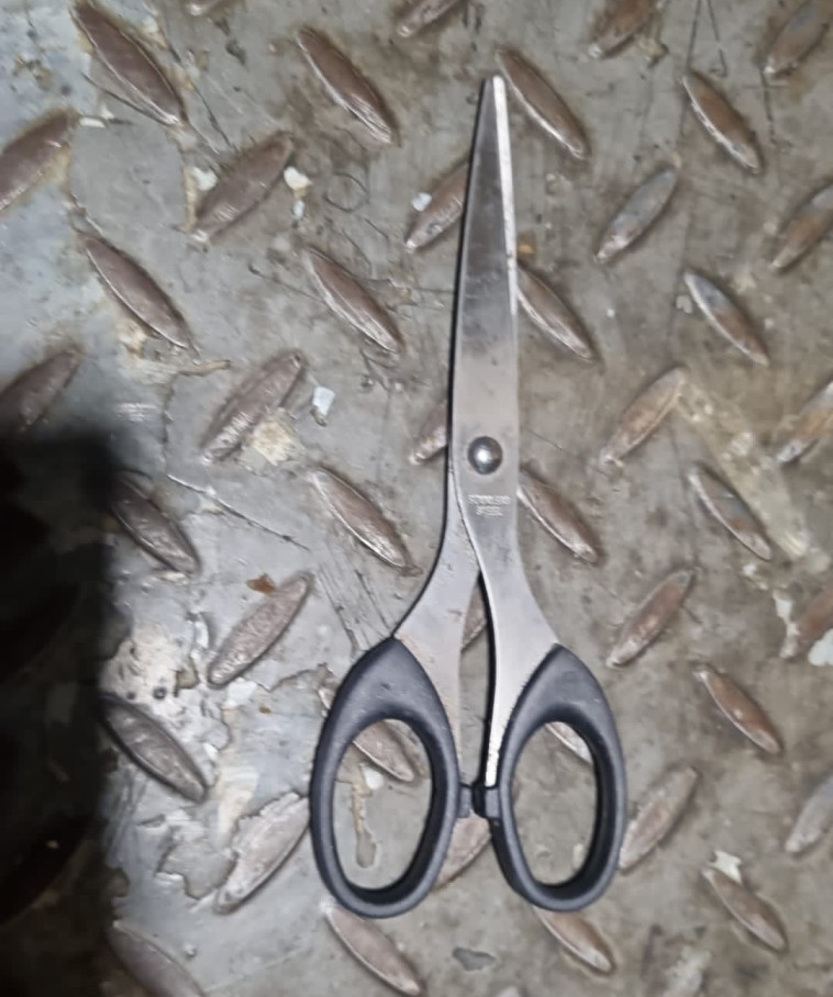 המספרים ששימשו על פי החשד את החשודה