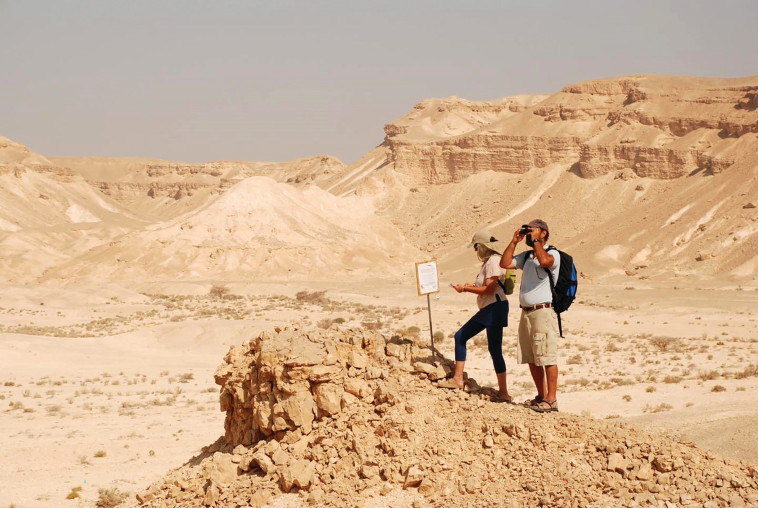 מדבר בריחה בצוקים