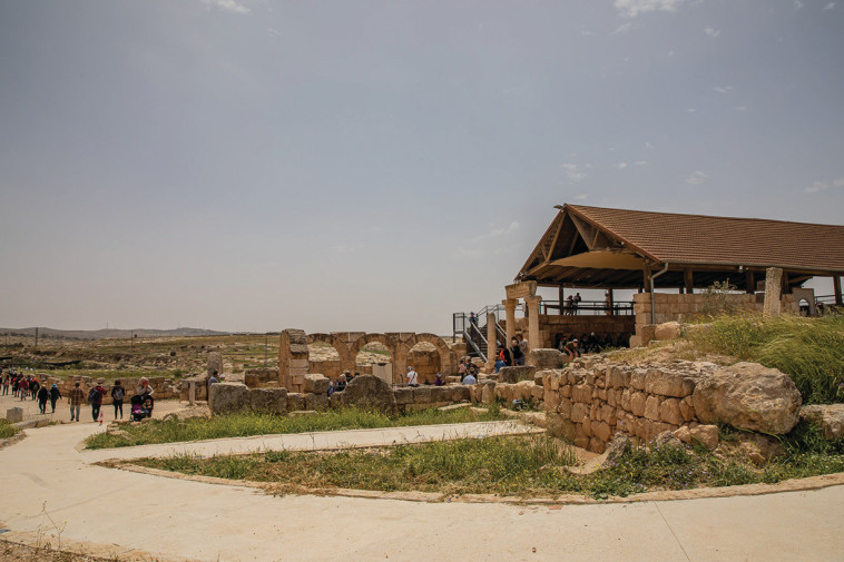 עלייה לרגל באתר סוסיא (צילום: נעה זילברמן)