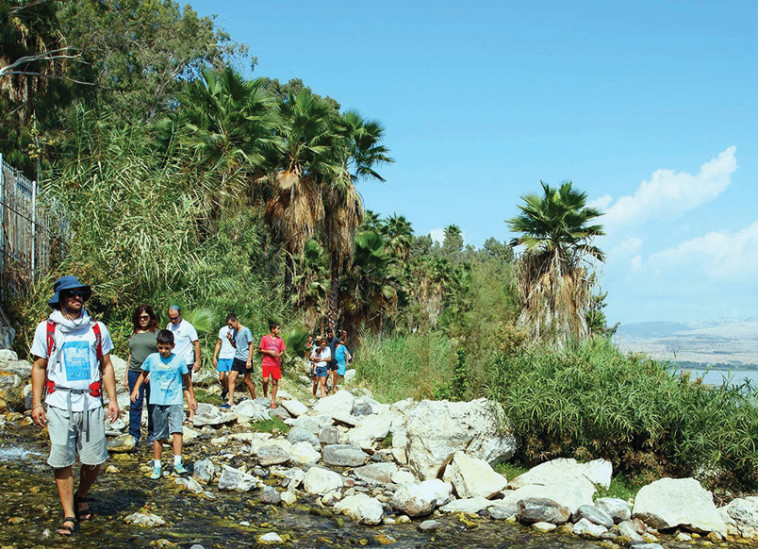 סיורים ללא תשלום בשביל סובב כינרת (צילום: איגוד ערים כינרת)