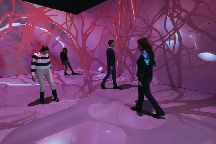 פסח במרכז החדשנות במדעטק