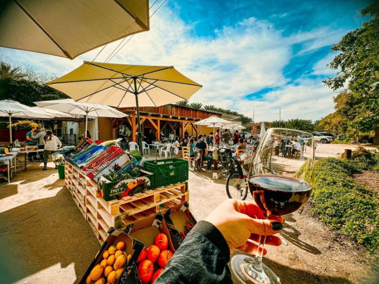 יקב הבוטיק 'מואה' בישוב צופר