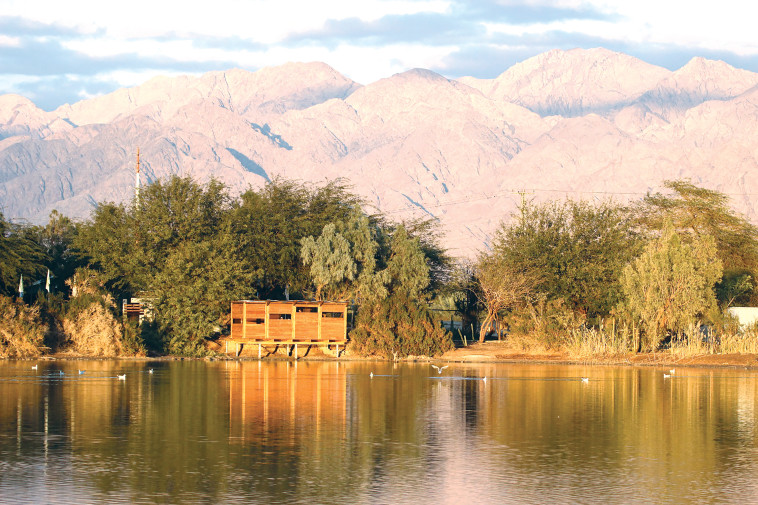 פארק הצפרות