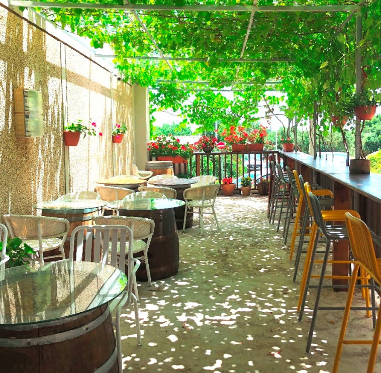 סדנת בקבוק מיץ ענבים תירוש - ביקב בהט