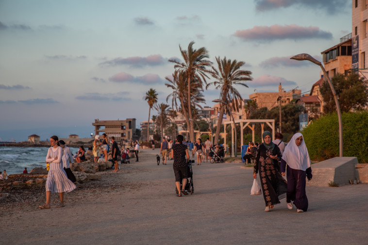 שכונת בת גלים, חיפה (צילום: שיר תורם פלאש 90)