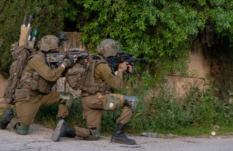 פעילות הכוחות