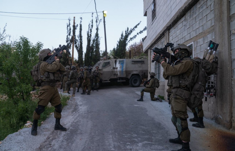 פעילות הכוחות