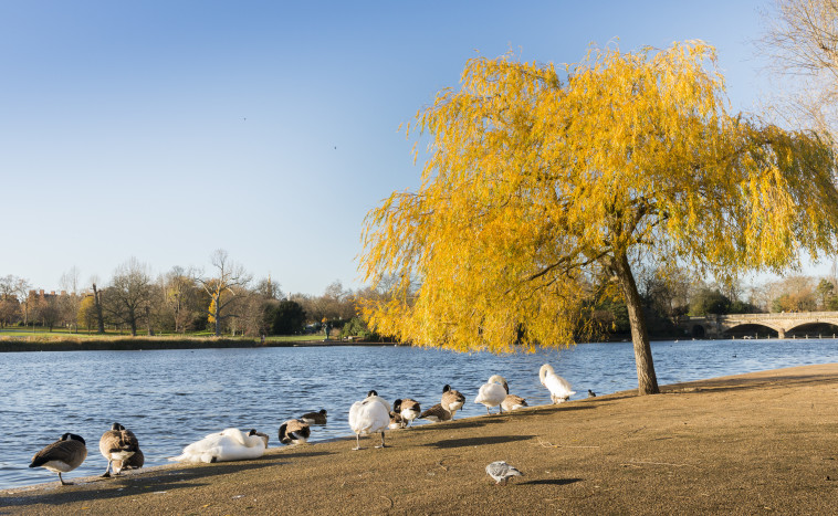 הייד פארק, לונדון
