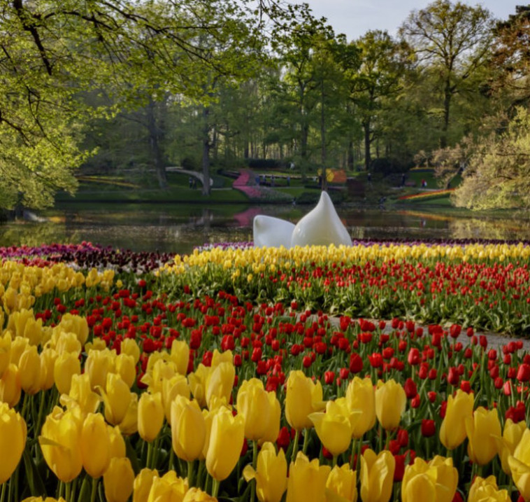 פארק Keukenhof בהולנד (צילום: צילום מסך אינסטגרם)