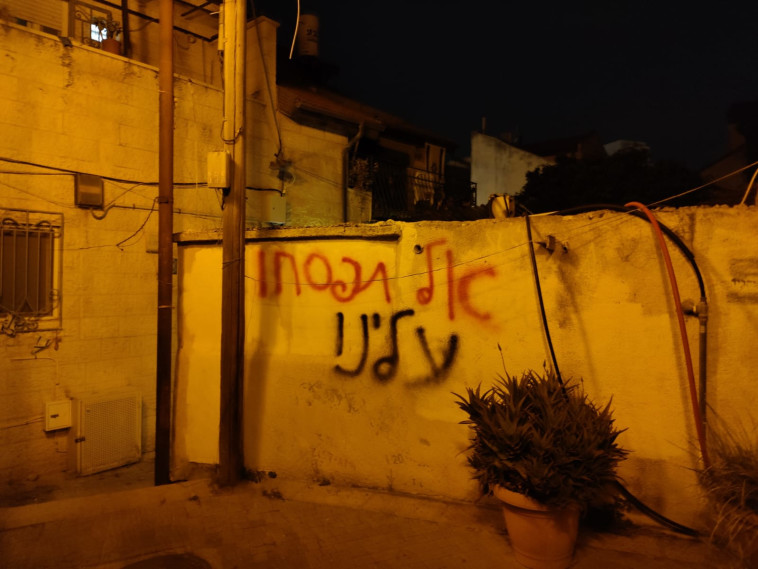 פעילות לוט״ם 