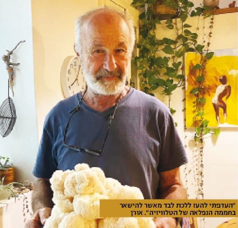 רוני אורן והפטריות