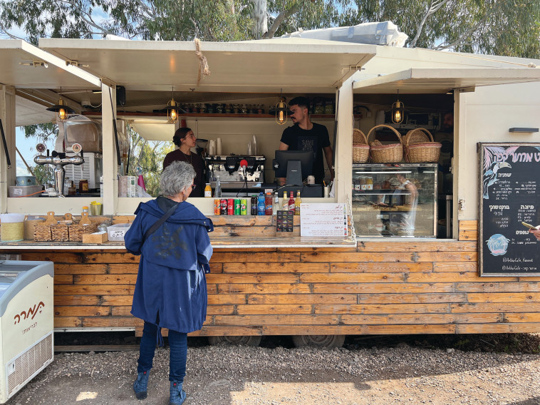 ארתור - חצר כנרת 