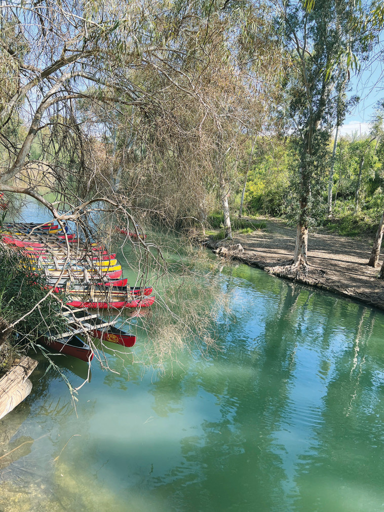 רוב רוי (צילום: מיטל שרעבי)