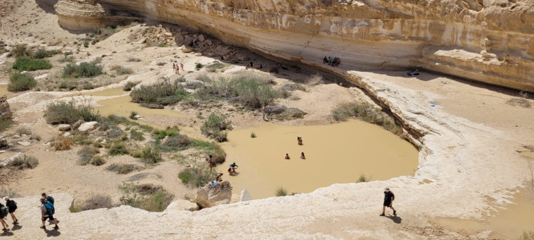 מטיילים בשמורת עין גדי
