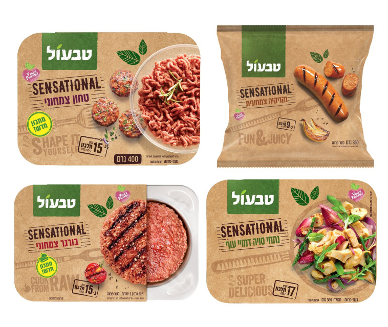 טבעול סנסשיונל