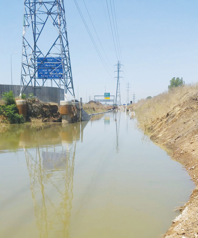 זיהום בהרצליה 