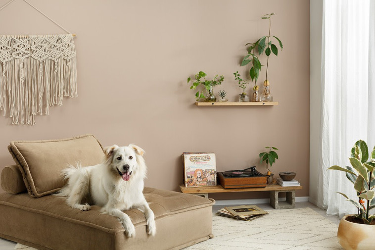 נסו חומרי ניקיון ידידותיים לסביבה