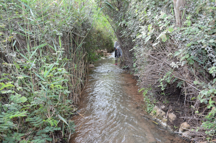 השביל הרטוב