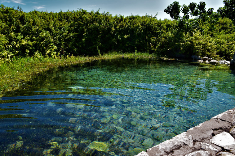 מעיינות הנופלים ברמות מנשה