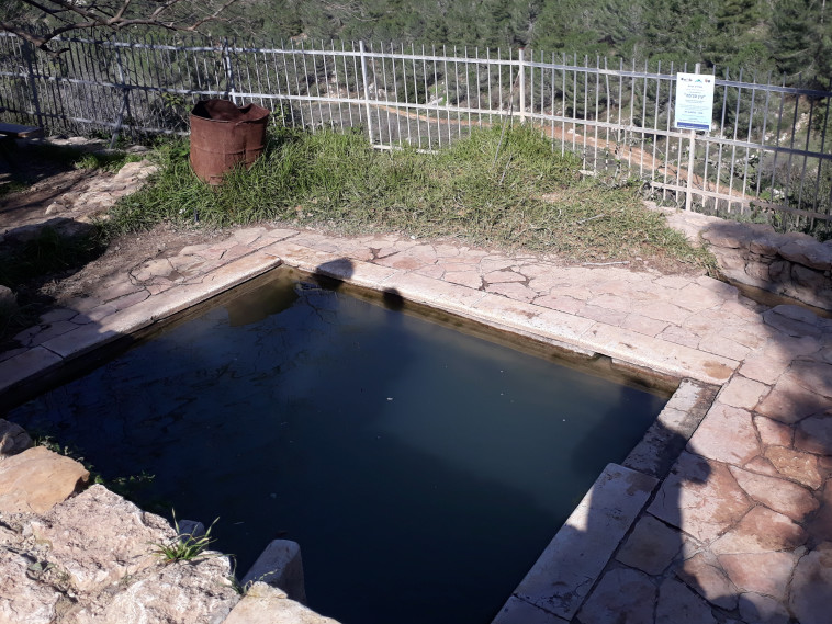 עין סג'מה מעיינות גוש עציון