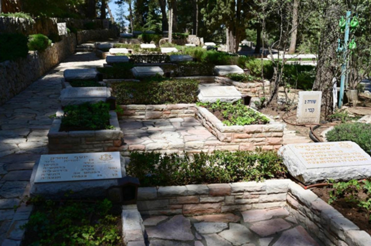 ''חלקת אלוהים אחת קטנה'':