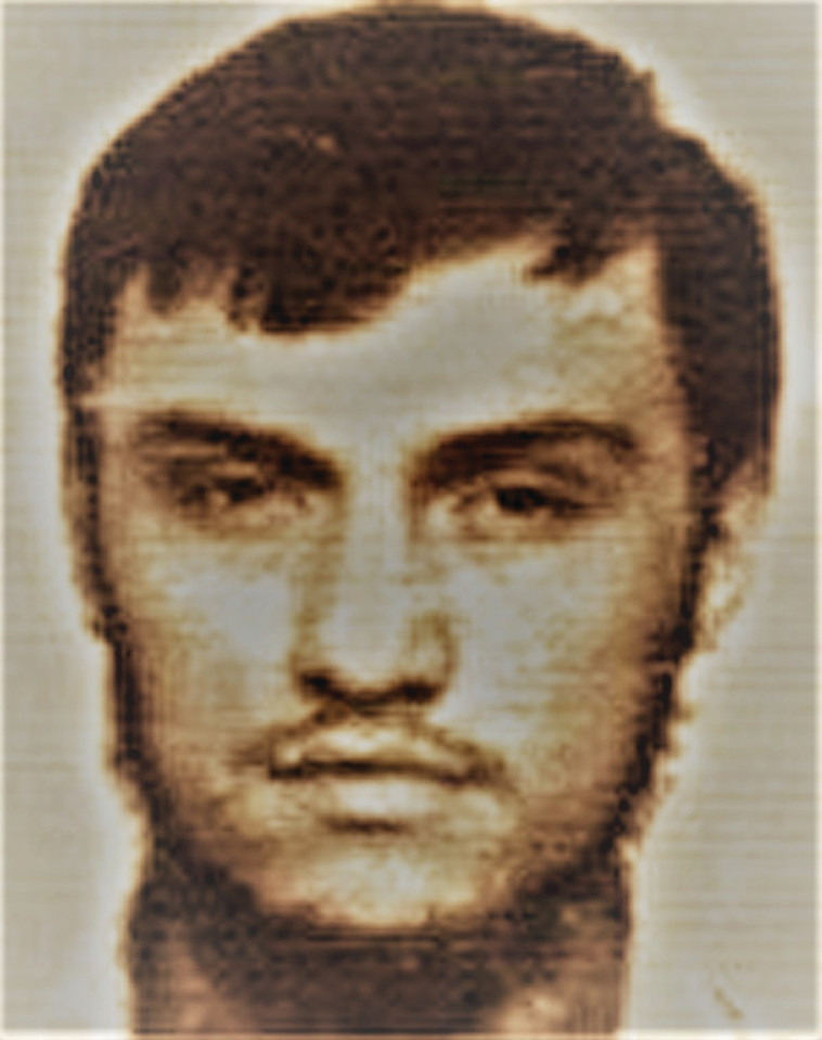 וולף פלטנוב