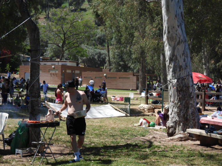 מנגל עצמאות בחורשת טל 