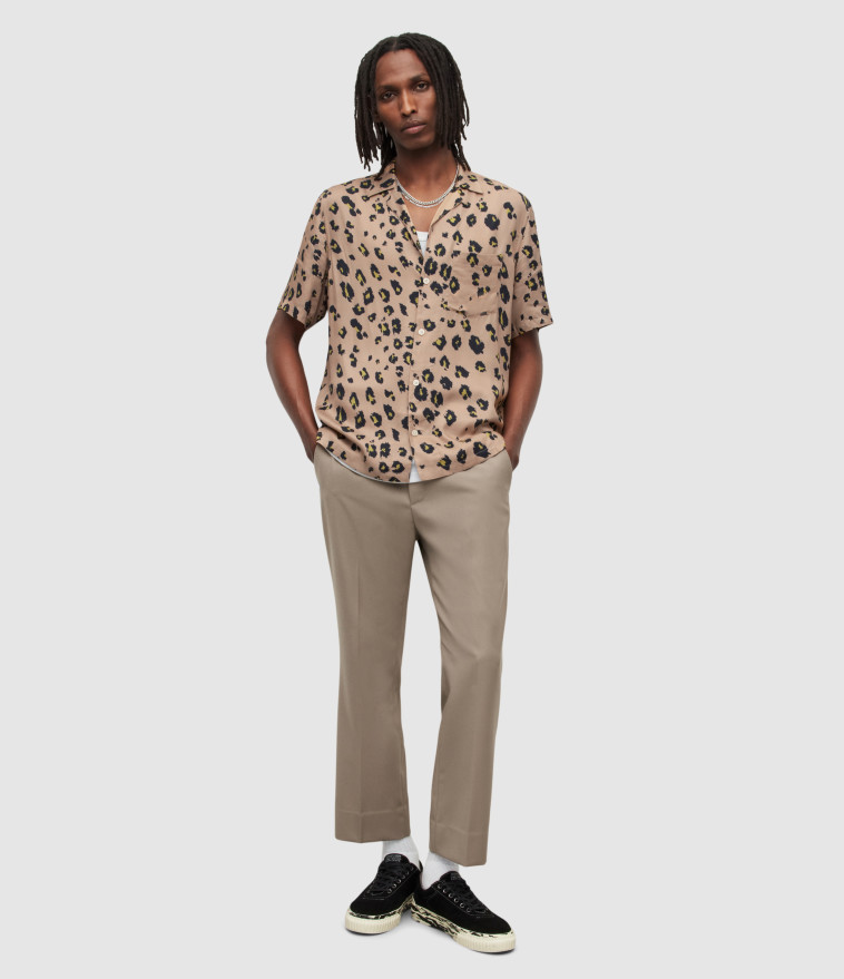 אולסיינט ל-STORY