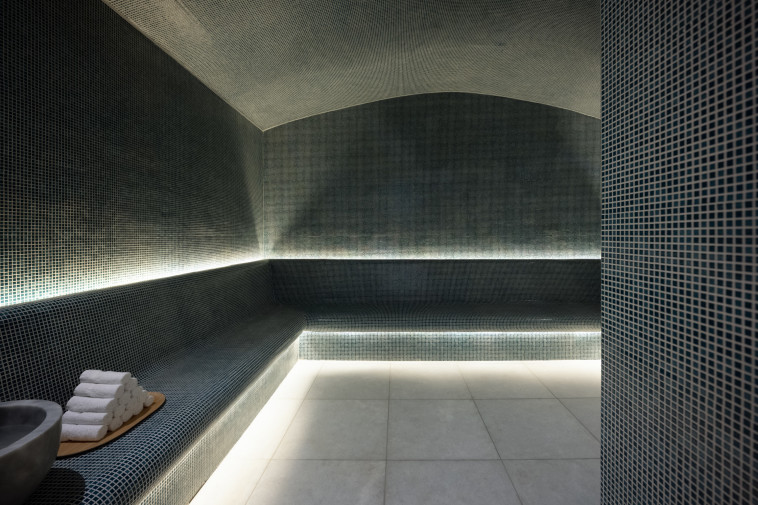 מלון אלקונין ספא קלרינס - חמאם 