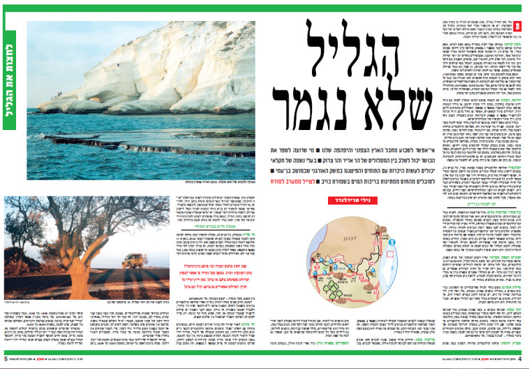 טור של נילי פרידלנדר שהתפרסם במעריב ב-2003