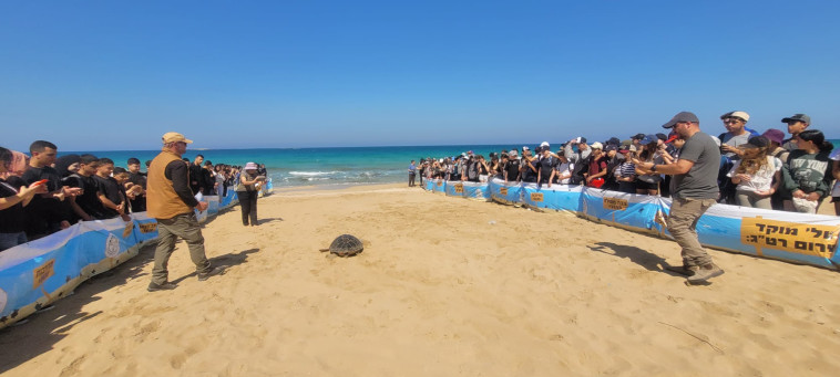 השחרור המרגש בחזרה לים