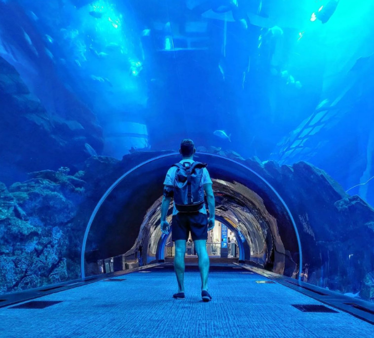 האקווריום בקניון דובאי