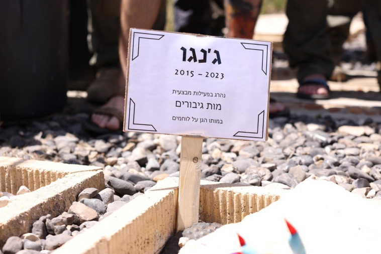 קברו של הכלב ג׳אנגו