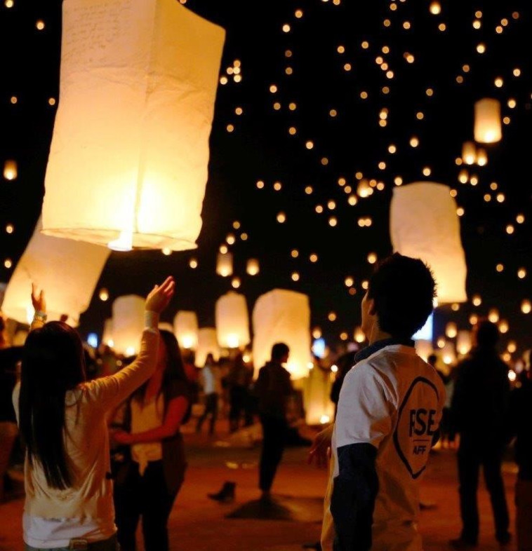 עששיות בסיור טבע עירוני לילדים בגן העצמאות 