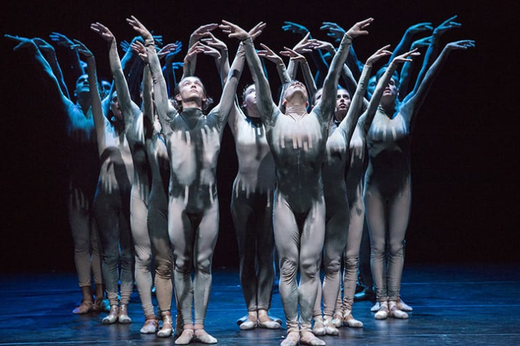 ''הברבור השחור'' של הבלט הישראלי