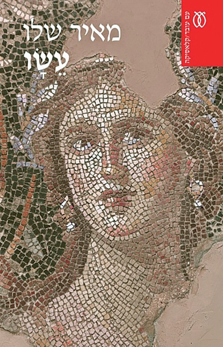 מאיר שלו, עשו