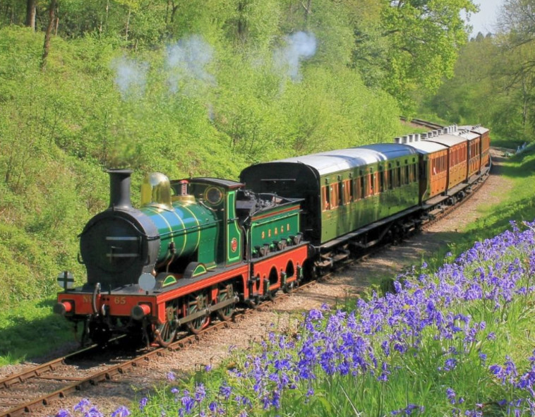 Bluebell Railway, אנגליה  (צילום: צילום מסך אינסטגרם)
